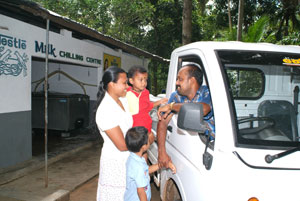 Nestle dairy farming family