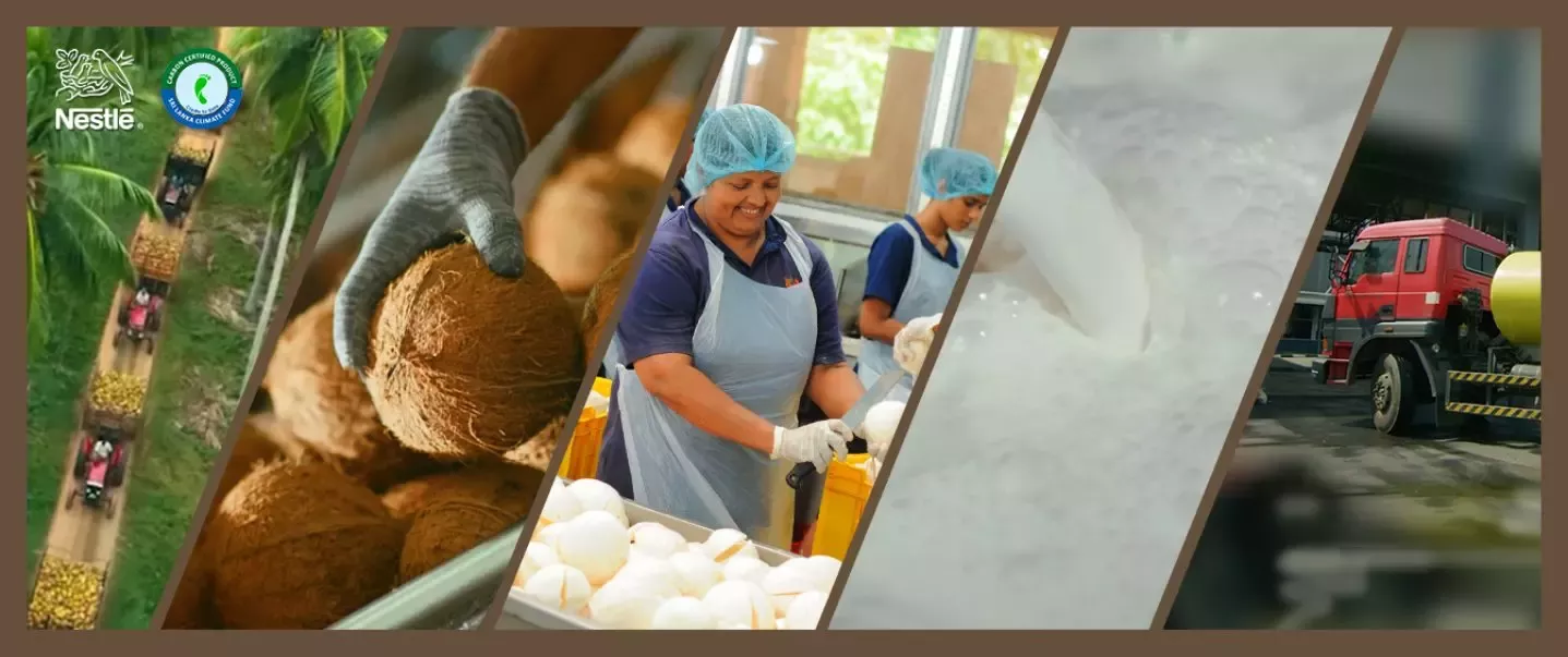 coconut-value-chain-analysis